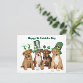 St. Patrick's Day  シーズンポストカード (スタンド正面)