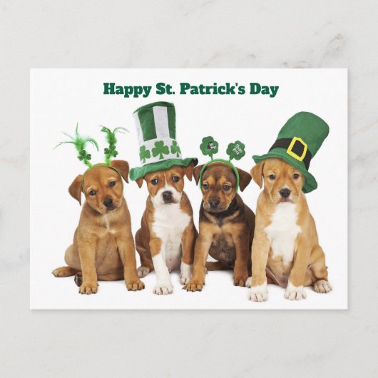 St. Patrick's Day  シーズンポストカード (正面)