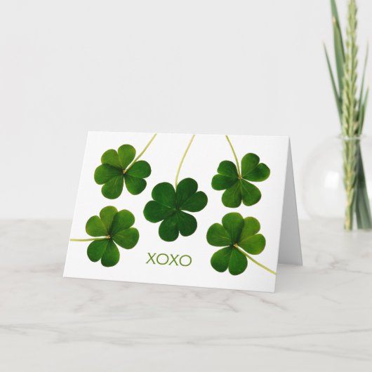 St. Patrick's Day for Partner, XOXO Shamrocks カード (正面)