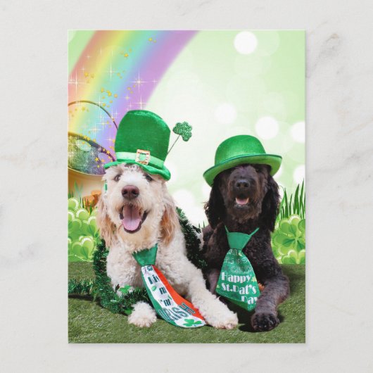 St patricks day- GoldenDoodles - Sadie and Izzie ポストカード (正面)