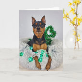 St Pats MinPin カード (黄色い花)