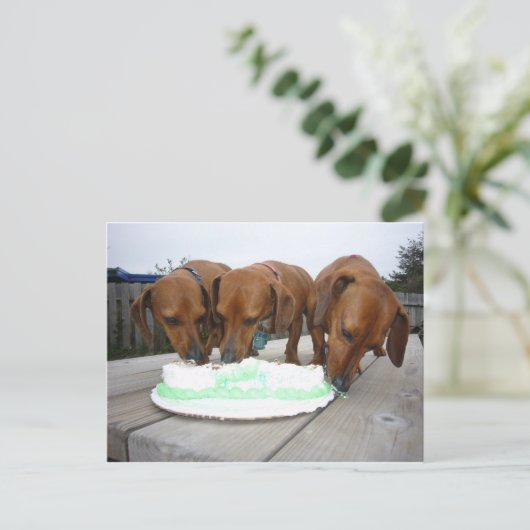 St pattys day ポストカード (スタンド正面)