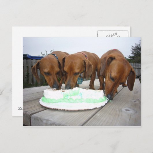 St pattys day ポストカード (正面/裏面)