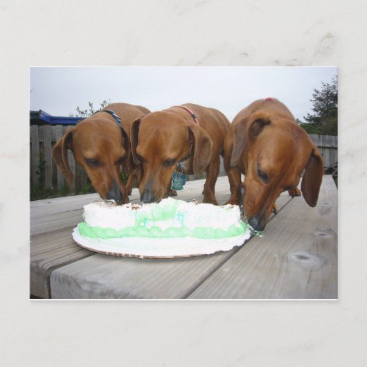 St pattys day ポストカード (正面)