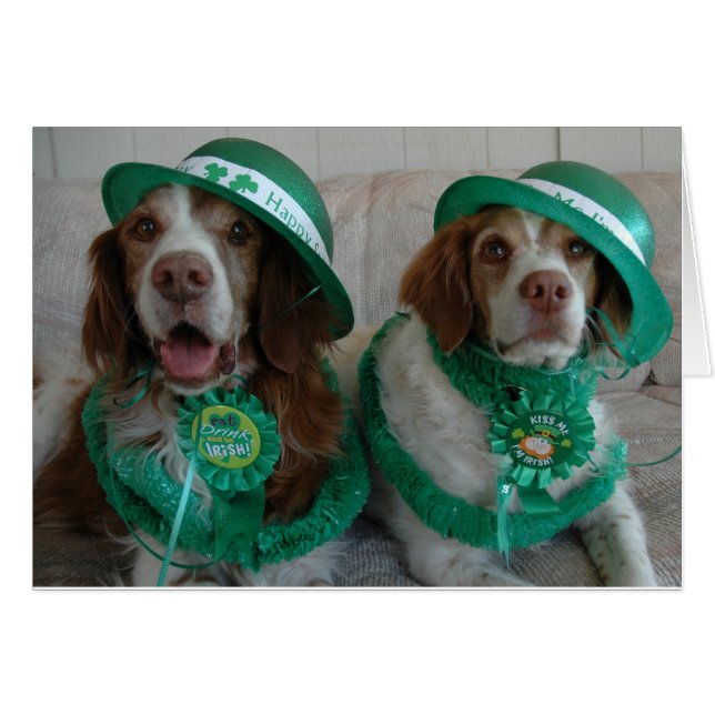 ST PATTY'S DAY BRITTANYS (正面横)