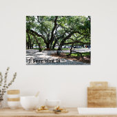 St Simons GA Wandering Oak写真 ポスター (キッチン)