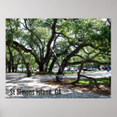 St Simons GA Wandering Oak写真 ポスター (正面)