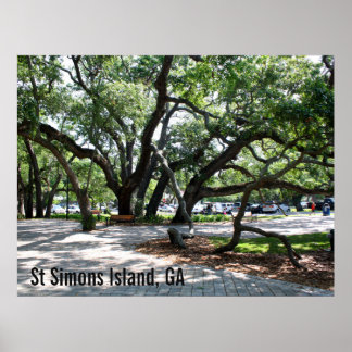 St Simons GA Wandering Oak写真 ポスター