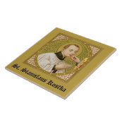 St. Stanislaus Kostka (SNV 25; SquareImage)タイル2 タイル (側面)