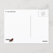 St. Thomas Rocky Beach ポストカード (裏面)