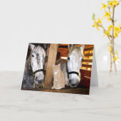 "Stable Buds" Greeting Card カード (黄色い花)