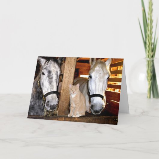 "Stable Buds" Greeting Card カード (正面)