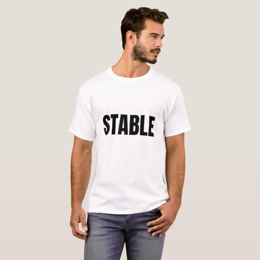 STABLE (Dark) Tシャツ (正面フル)