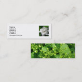 Staceyの花柄 スキニー名刺 (正面/裏面)