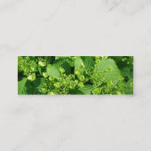 Staceyの花柄 スキニー名刺 (裏面)