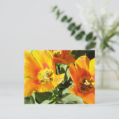 Staceyの花柄 ポストカード (スタンド正面)