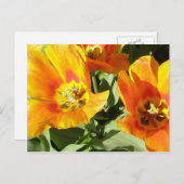 Staceyの花柄 ポストカード (正面/裏面)