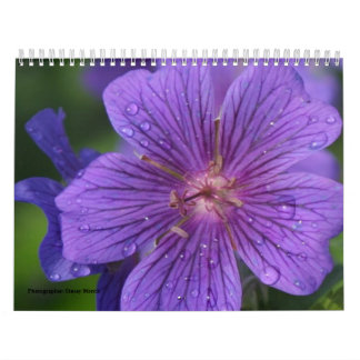 Stacey Morris著photgraphed 2009カレンダー カレンダー