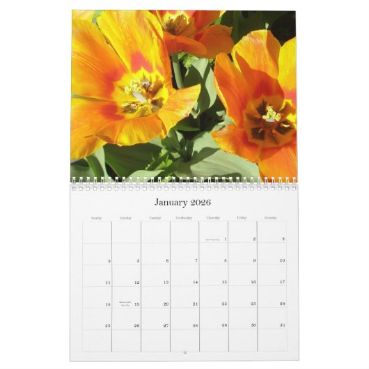 Stacey Morris著photgraphed 2009カレンダー カレンダー (1月 2026)