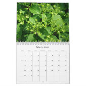 Stacey Morris著photgraphed 2009カレンダー カレンダー (3月 2026)