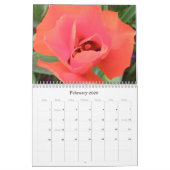 Stacey Morris著photgraphed 2009カレンダー カレンダー (2月 2026)