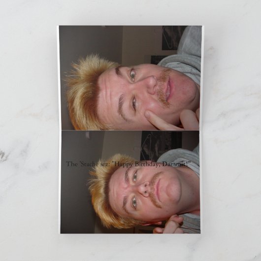 「Stache. カード (内部)