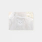 Stadi at Zoo Atlanta (2023) ポストイット (正面)