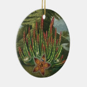 Stadler著刻まれるウジ軸受けStapelia セラミックオーナメント (右)