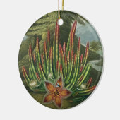 Stadler著刻まれるウジ軸受けStapelia セラミックオーナメント (左)