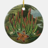 Stadler著刻まれるウジ軸受けStapelia セラミックオーナメント (裏面)
