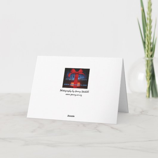 StadtkircheのCelleのクリスマスカードの管器官 シーズンカード (裏面)