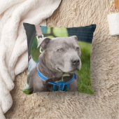 Staffieの投球のクッション クッション (ブランケット)