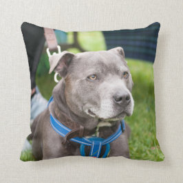 Staffieの投球のクッション クッション