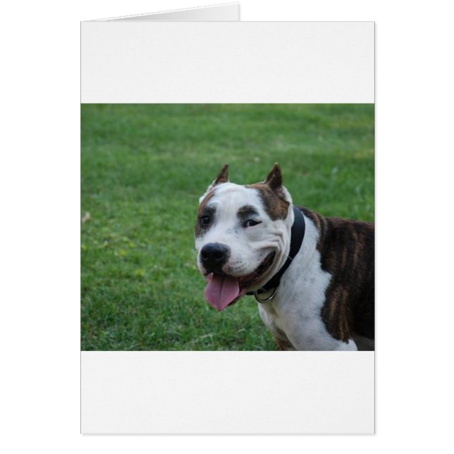 staffy 4.png (正面)
