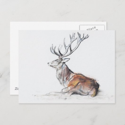 Stag 2006を装着 ポストカード (正面/裏面)