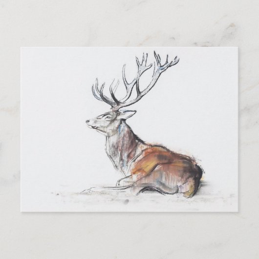 Stag 2006を装着 ポストカード (正面)