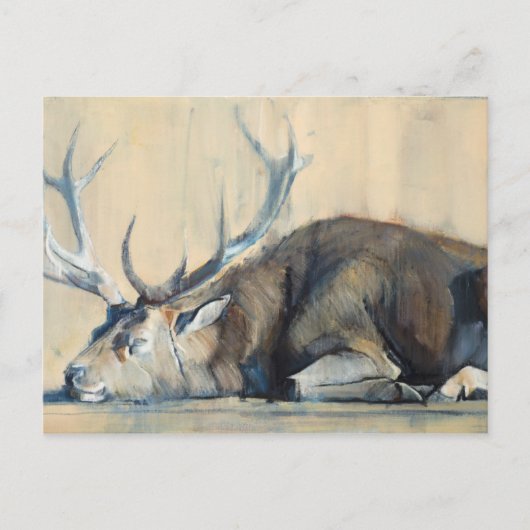 Stag 2014 ポストカード (正面)