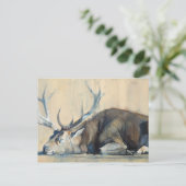 Stag 2014 ポストカード (スタンド正面)