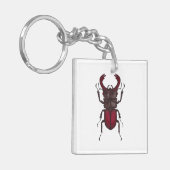 Stag beetle キーホルダー (正面左)