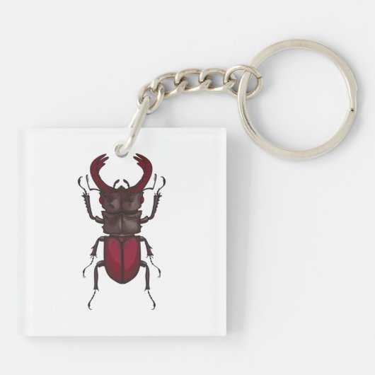 Stag beetle キーホルダー (裏面)