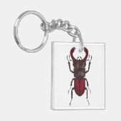 Stag beetle キーホルダー (正面左)