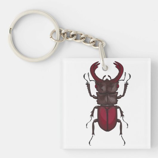 Stag beetle キーホルダー (正面)