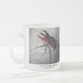 Stag Beetle,Prosopocoilus inclinatus フロストグラスマグカップ (左)