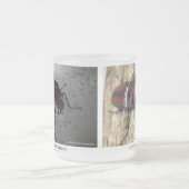 Stag Beetle,Prosopocoilus inclinatus フロストグラスマグカップ (中央)