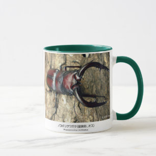 Stag Beetle,Prosopocoilus inclinatus マグカップ