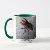 Stag Beetle,Prosopocoilus inclinatus マグカップ (左)