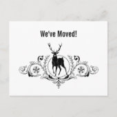 Stag Buck Swirlsが華美発表を進める | 案内ポストカード (正面)