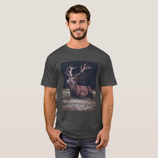 Stag Tシャツ (正面フル)