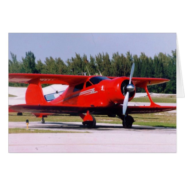 Staggerwingのブナ (正面横)