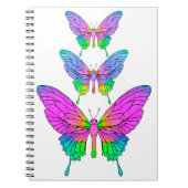 Stained Glass Butterflies Notebook ノートブック (正面)